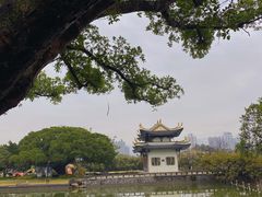 -江心屿景区