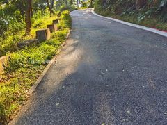 -广州市帽峰山景区
