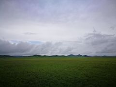 -乌兰布统草原