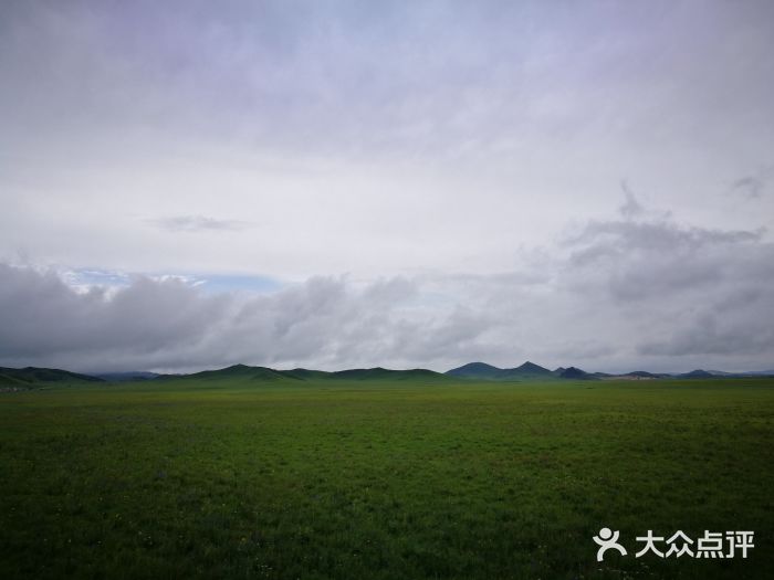 乌兰布统草原图片