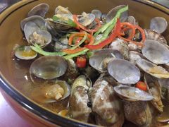 -小叶大馅饺子城