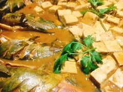 嘎鱼豆腐一锅出-普天和酒楼·新津菜·烤鸭(天津之眼店)