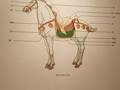 -西安大唐西市博物馆