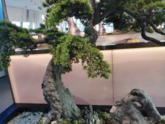 -马家斑.鲜鱼火锅(松湖万科店)
