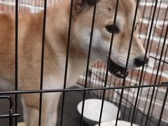 -呼吸沉浸式剧场(甘露园店)