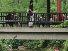 -重庆彩云湖湿地公园