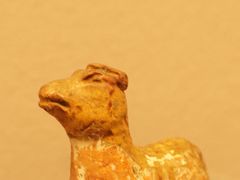 -四川大学博物馆