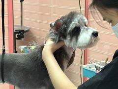 -FAELING PETS美天灵宠物(合生汇店)