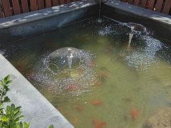 -老北京风情街