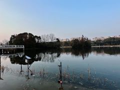 -新江湾城公园