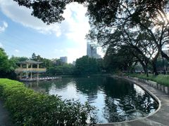 -晓港公园