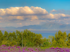 -深圳湾公园(南山区)