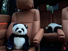 -理想汽车(世纪汇店)