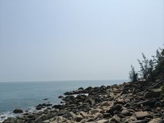 -广东惠东海龟国家级自然保护区