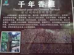 -藏龙百瀑风景区