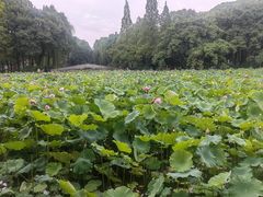 -西南交通大学(九里校区)
