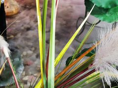 -韵秋荷(宝山龙湖天街店)