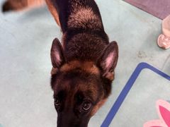 -KingBull私教健身&格斗订制(龙井商业中心店)