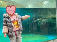 -海合安成都极地海洋公园