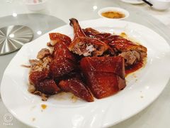 -姚林轩