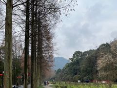 -青城山