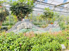 -南宫五洲植物乐园