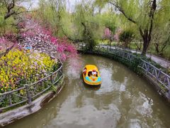 -南汇桃花村