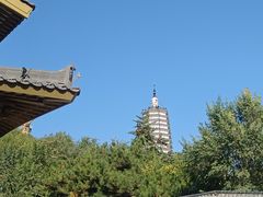 -舍利塔滩地公园-无垢净光舍利塔