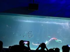 -常州海昌海洋探索馆