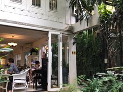-Fern Forest Cafe