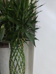 -悟空祛痘·诺奖技术专业店