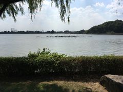 -上海长兴岛郊野公园