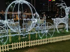 -嘉定紫藤园