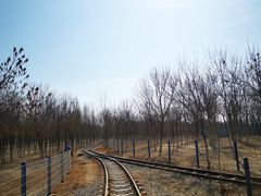 -西青郊野公园
