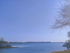 -丁香湖公园