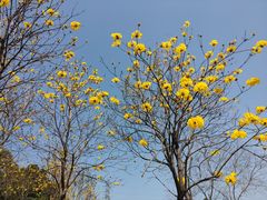 -中国移动南方基地