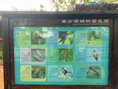 -大湾区中央湿地公园