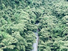 -川西竹海景区