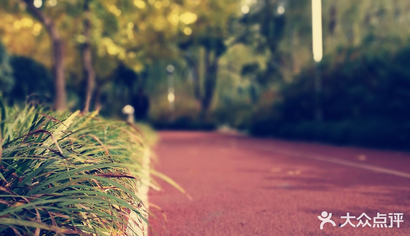 这次来上海住在长风公园附近，清早起来去散散步