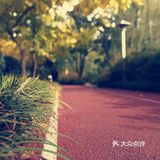 这次来上海住在长风公园附近，清早起来去散散步