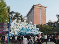 -灵玲国际马戏城