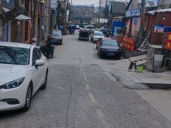 -金陵花卉交易市场