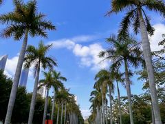 -厦门大学(思明校区)