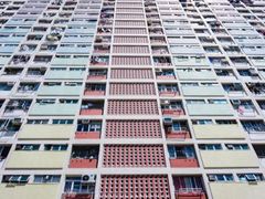 -彩虹村