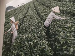 -奈雪的茶(优特汇店)
