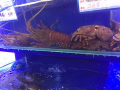水产区-渔村盛宴(航空新城店)
