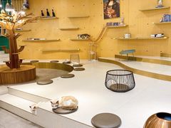 -飞行喵MR PILOT|猫舍·猫咖(静安大融城店)