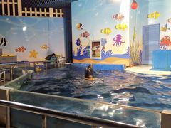 -太平洋海底世界