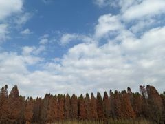 -捞渔河湿地公园