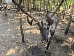 -塞罕坝国家级自然保护区